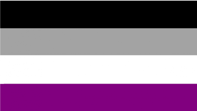 Die asexuelle Pride-Flagge in den horizontal untereinander gereihten Farben Schwarz, Grau, Weiß und Lila.